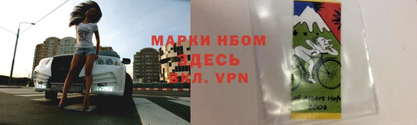 индика Кодинск