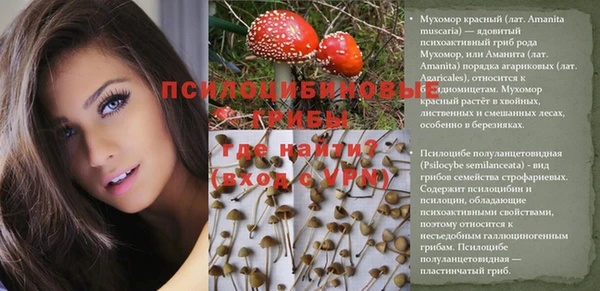 индика Кодинск