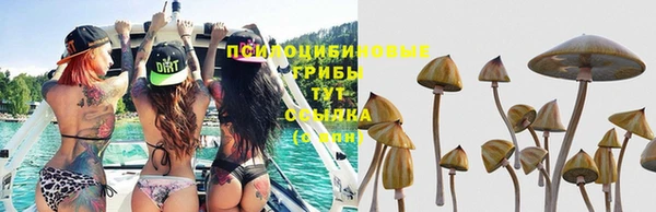 индика Кодинск