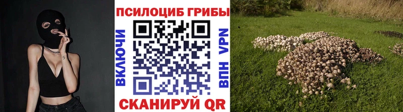 Галлюциногенные грибы прущие грибы  купить наркотики сайты  ОМГ ОМГ ссылка  Одинцово 